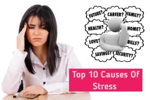 Causes Of Stress 