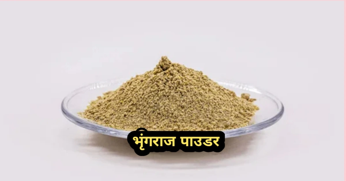 बाल झड़ने का आयुर्वेदिक उपाय – भृंगराज पाउडर