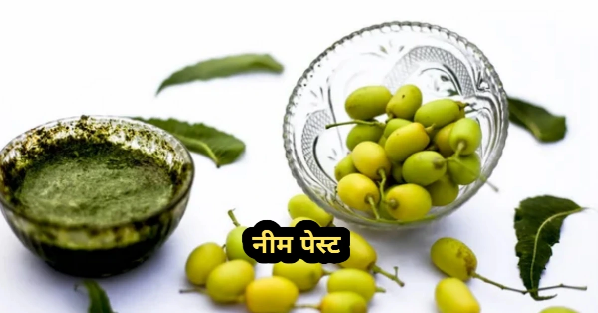 बाल झड़ने का आयुर्वेदिक उपाय –  नीम पेस्ट