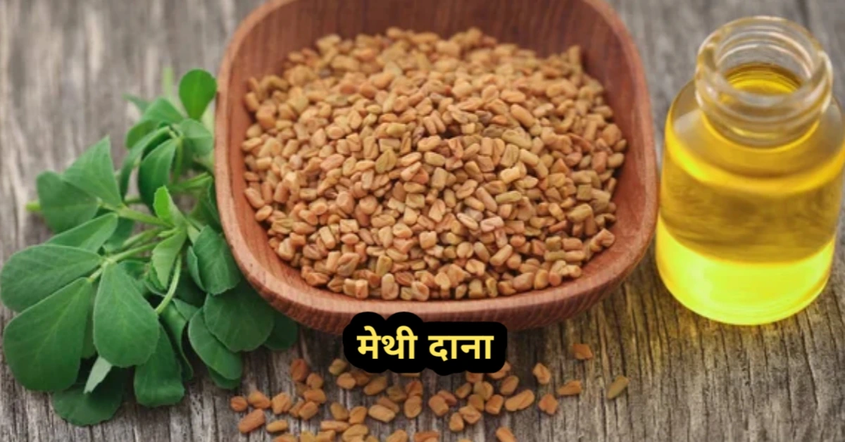 बाल झड़ने का आयुर्वेदिक उपाय – मेथी दाना